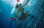 Mit einer Meeresreinigungsaktion an der spanischen Costa Brava ging die Partnerschaft von Hyundai und Healthy Seas ins dritte Jahr. Taucher von Ghost Diving Spanien und Ghost Diving Niederlande entfernten dabei ein altes Kiemennetz und befreiten zahlreiche Tiere, die sich darin verfangen hatten.